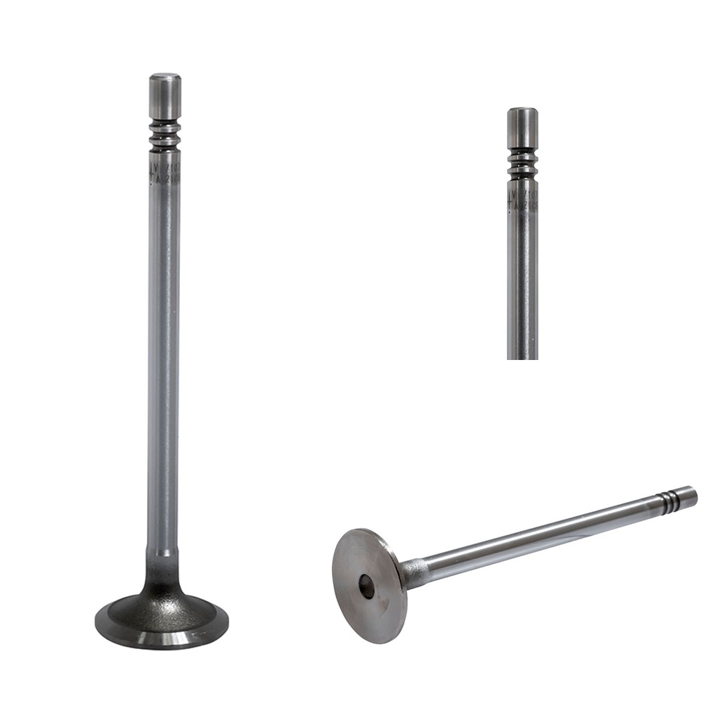 MO-V-7107 STD — Valvula para cabeza de motor Diesel Moresa V-7107 STD