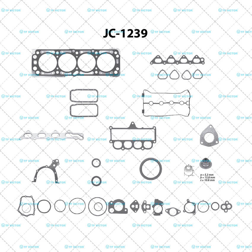 Juego completo para motor TF Victor JC-1239
