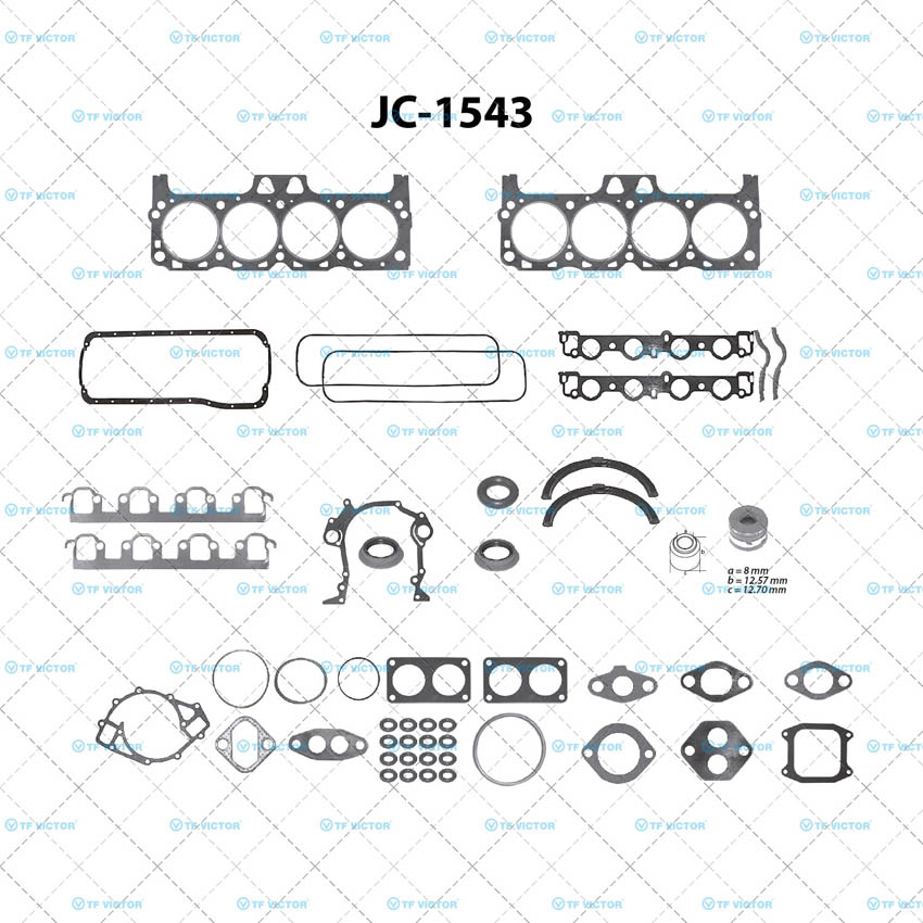 Juego completo para motor TF Victor JC-1543