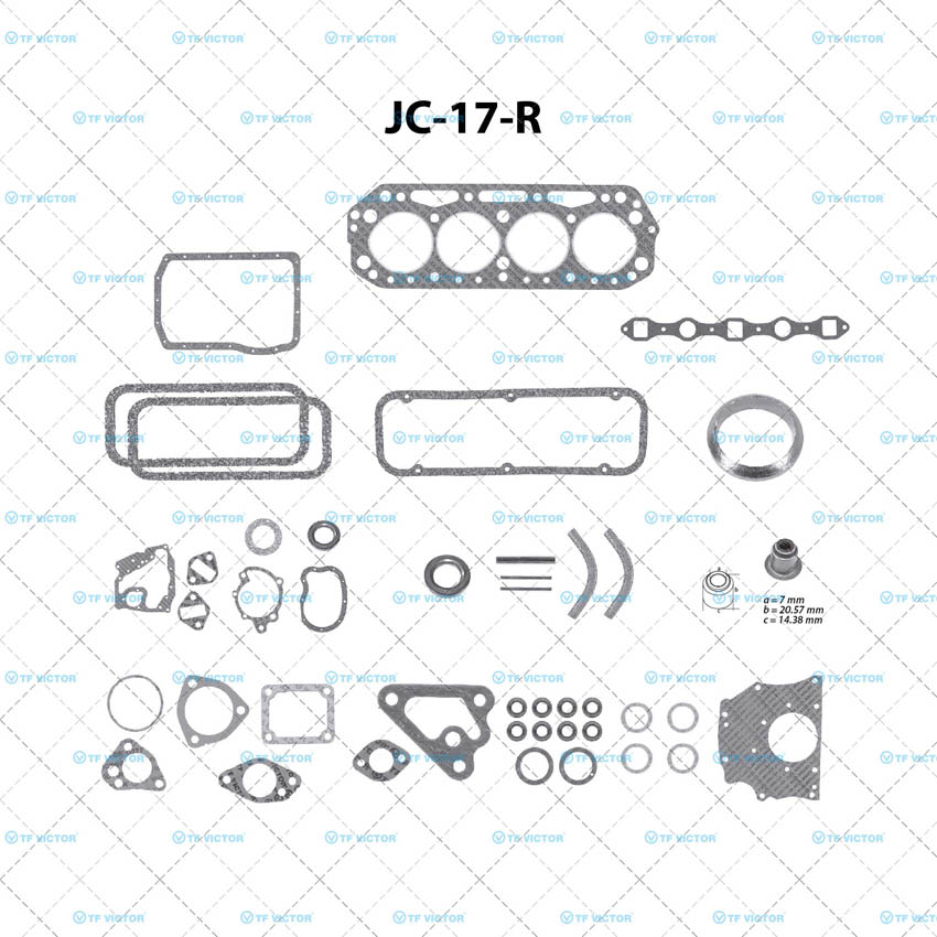 Juego completo para motor TF Victor JC-17-R