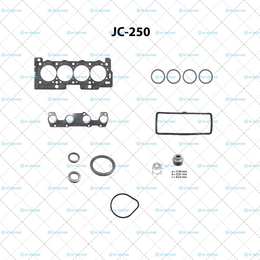 Juego completo para motor TF Victor JC-250