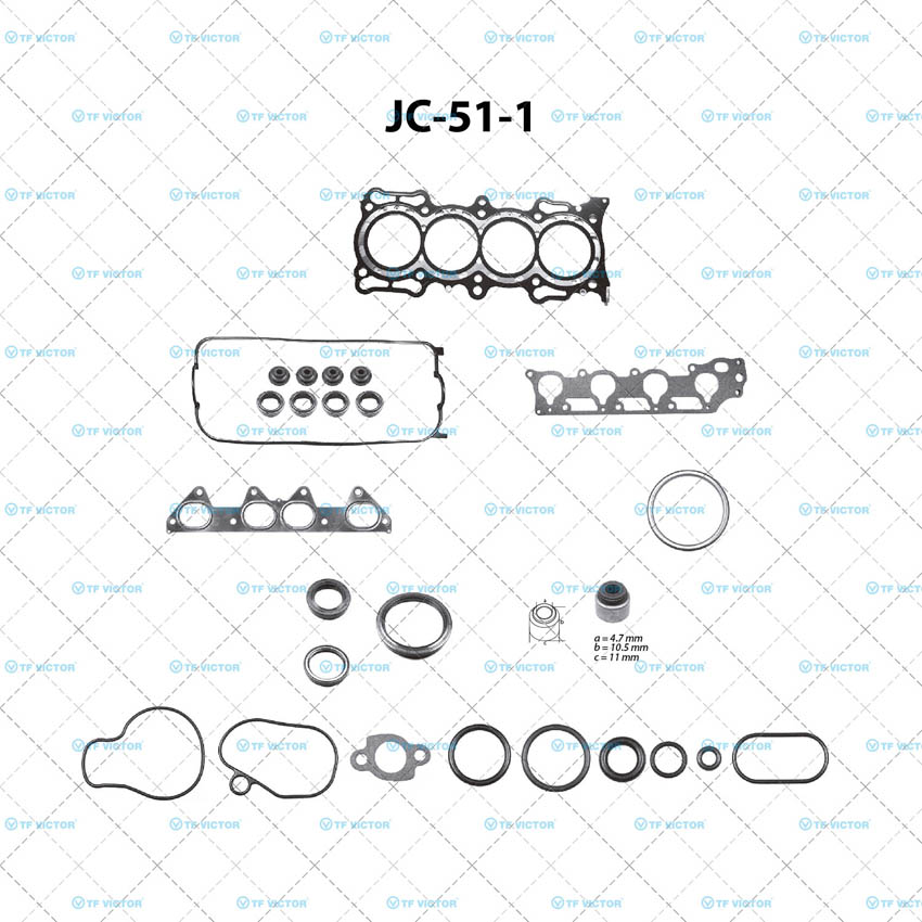 Juego completo para motor TF Victor JC-51-1
