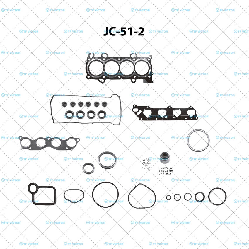 Juego completo para motor TF Victor JC-51-2