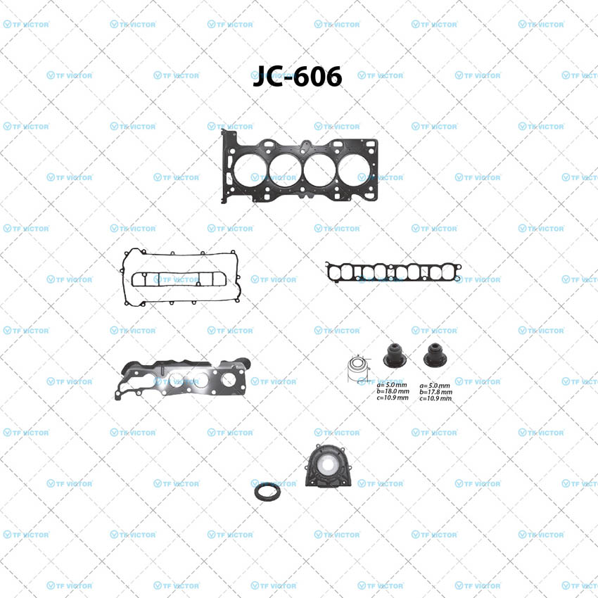 Juego completo para motor TF Victor JC-606