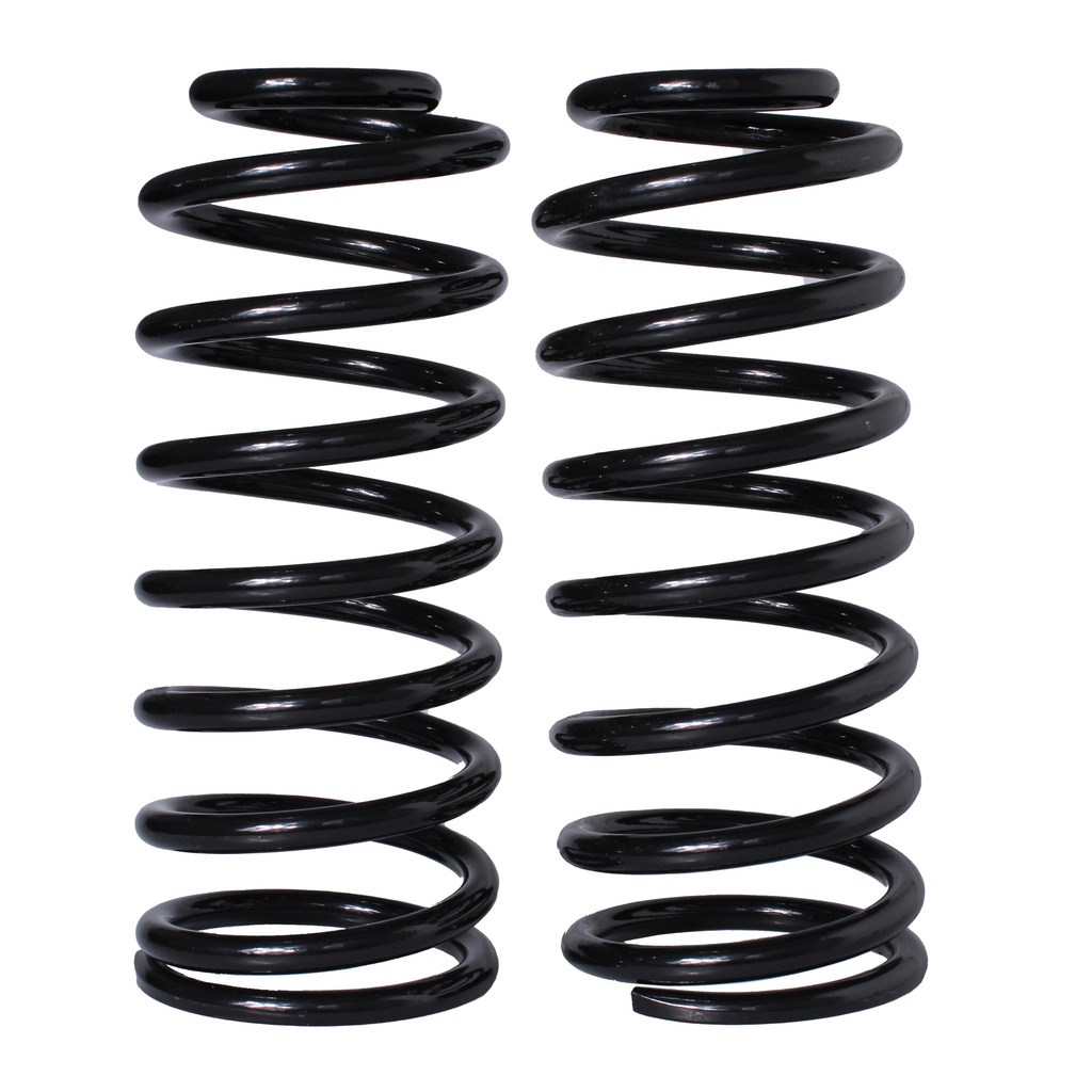 Resorte BUICK Century 1982-1992 Trasero (Par)