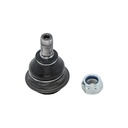 Rotula Inferior Partner 12-19