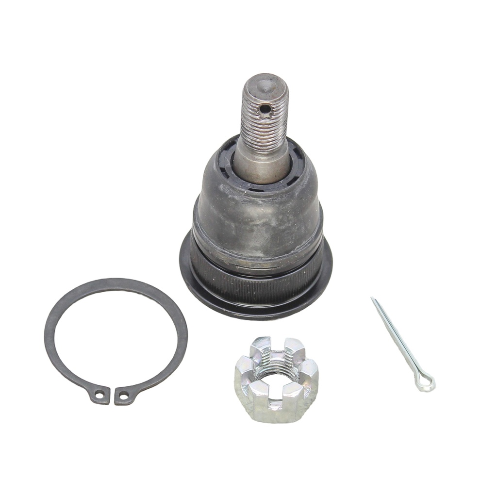 Rotula Inferior I30 00-01