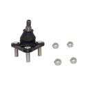 Rotula Inferior TT 98-06