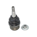 Rotula Inferior A5 08-10