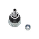 Rotula Inferior Central Minicooper R55 07-14