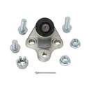 Rotula Inferior Dashing 24-25