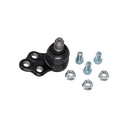 Rotula Inferior Spark II 16-21