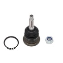 Rotula Superior Ram-1500 4X2 Suspension Independiente 06-19