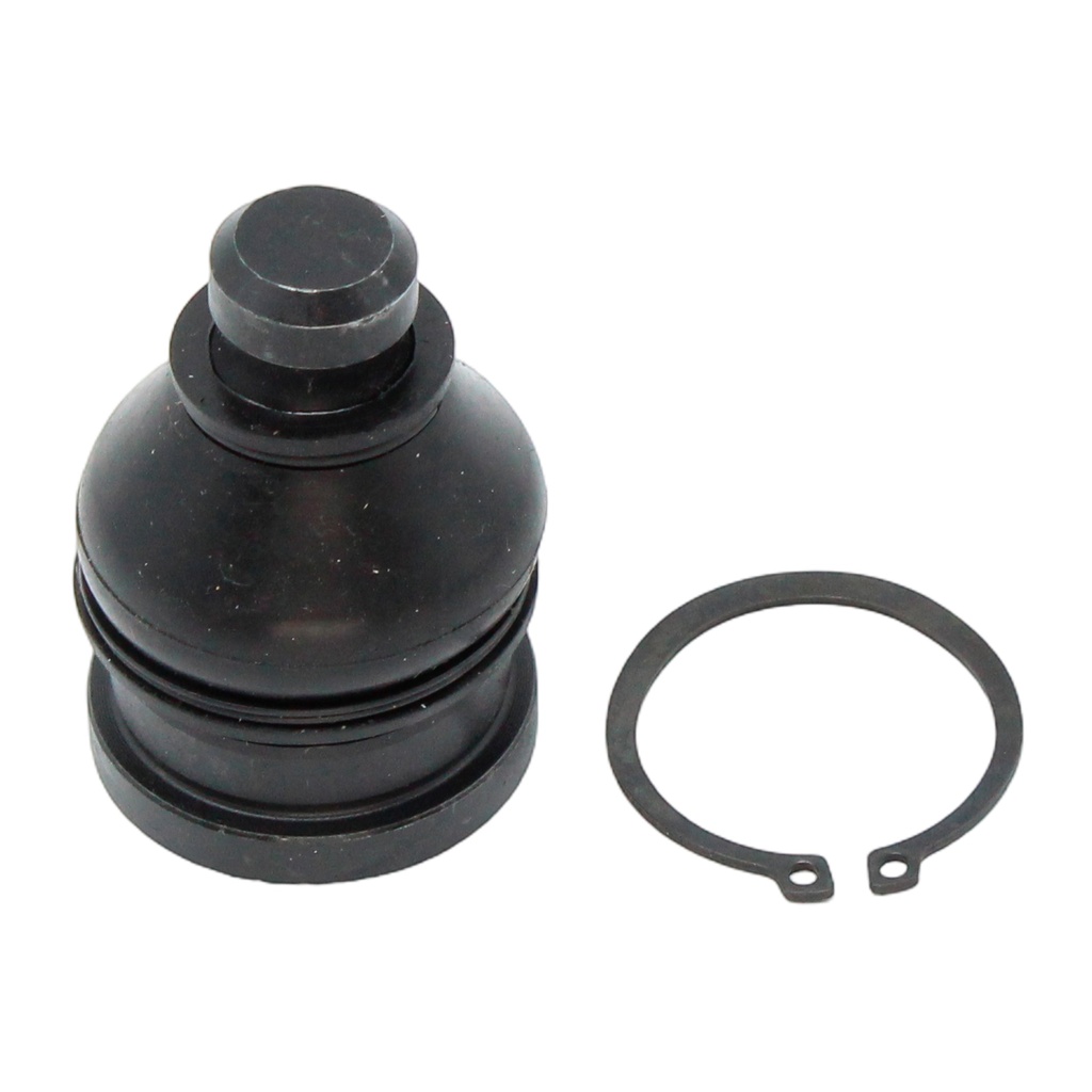 Rotula Inferior Caliber 07-11