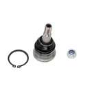 Rotula Trasero Superior Cirrus 01-06