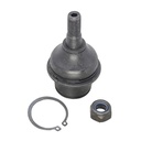 Rotula Inferior RWD 300C 07-19