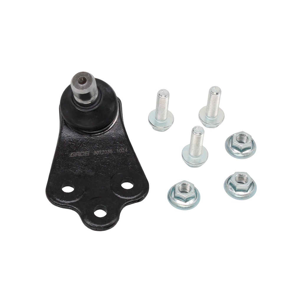 Rotula Inferior Neon 16-20