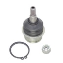 Rotula Inferior Cherokee 15-23