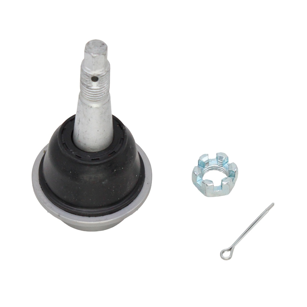 Rotula Inferior JT 22-23