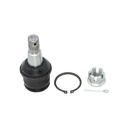 Rotula Inferior E-250 07-08