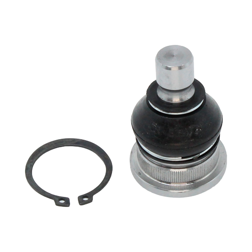 Rotula Inferior Ecosport 13-22