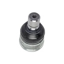 Rotula Inferior CX-3 15-23