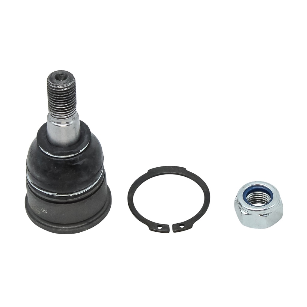 Rotula Inferior CR-V 02-06