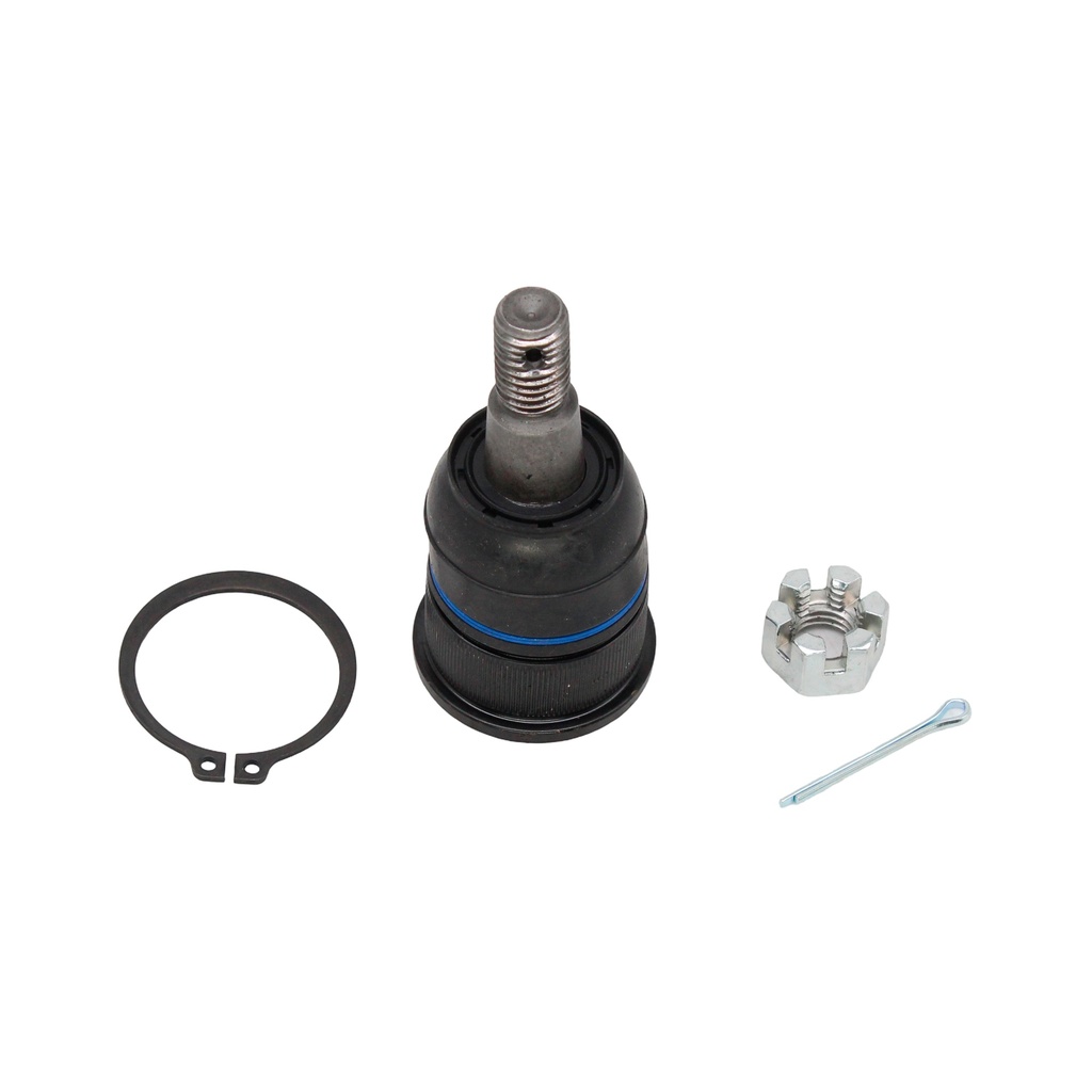 Rotula Inferior Ridgeline 06-14