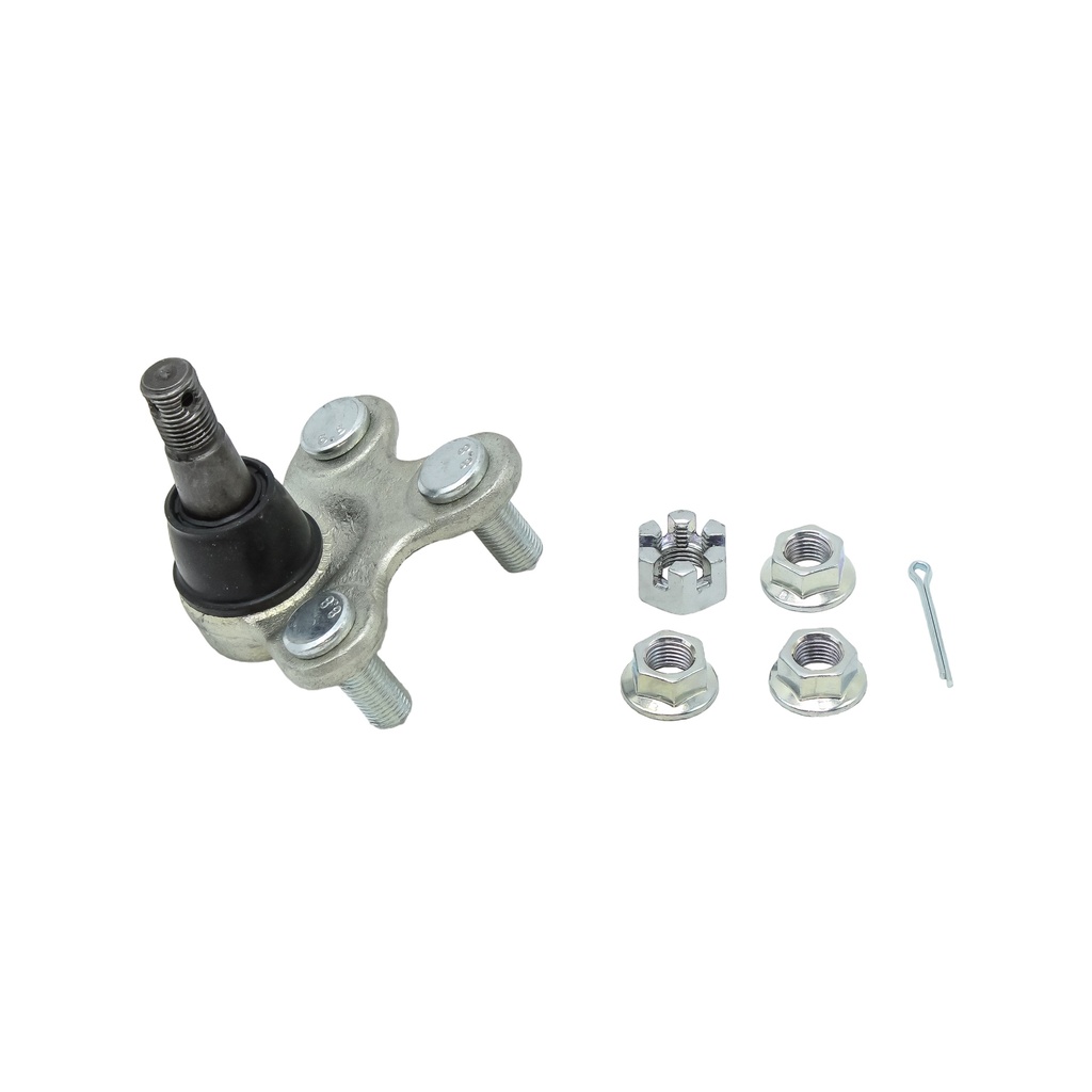 Rotula Inferior RDX 18-23