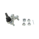 Rotula Inferior RDX 18-23
