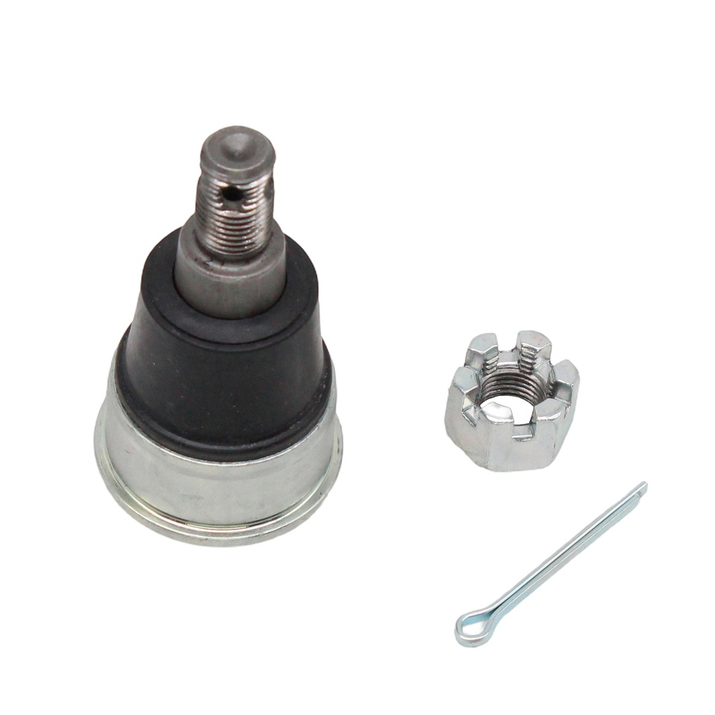 Rotula Inferior BR-V 18-23