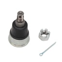 Rotula Inferior BR-V 18-23