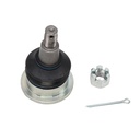 Rotula Trasero Superior MDX 14-20