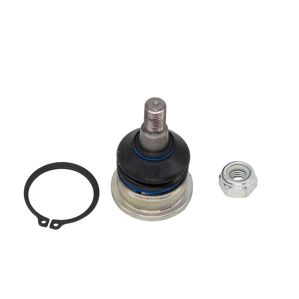 Rotula Inferior Elantra 21-24