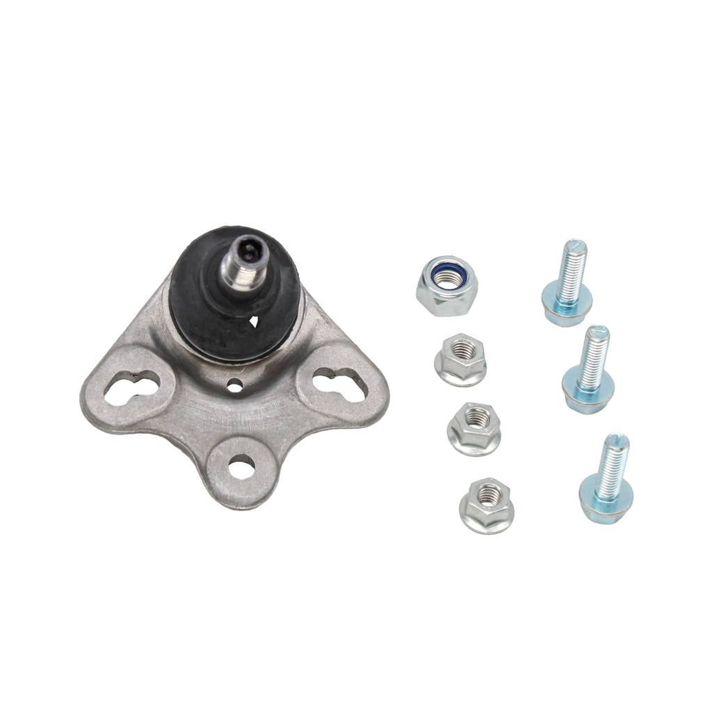 Rotula Inferior Clase A 00-04