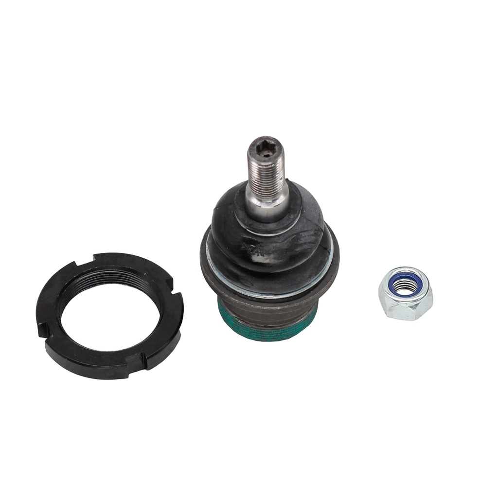 Rotula Inferior Clase M 97-04