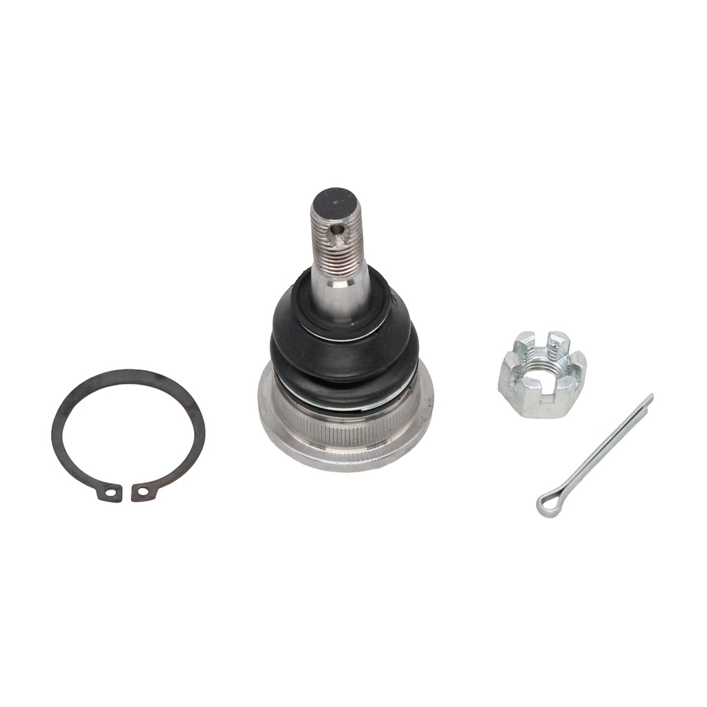 Rotula Superior QX80 14-20
