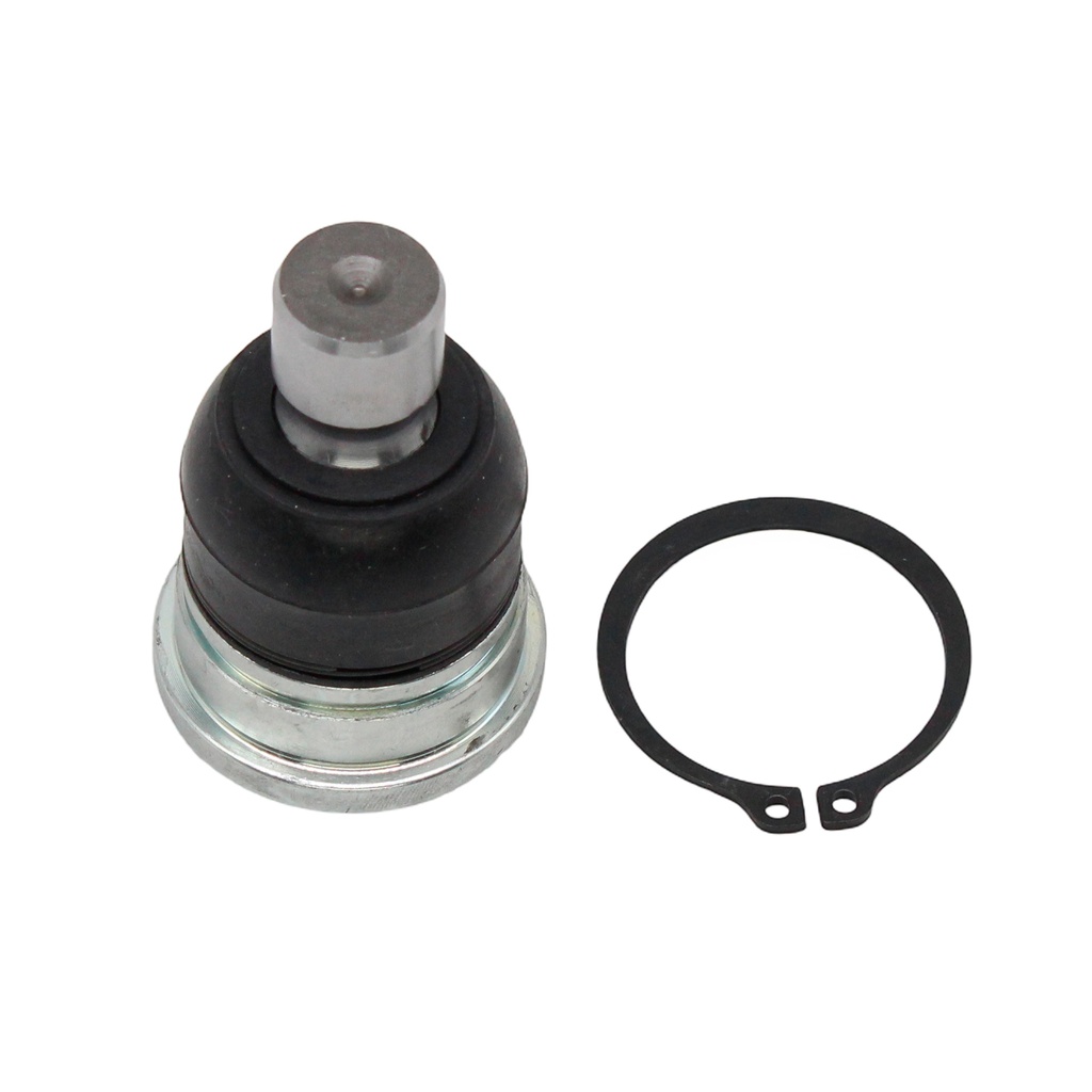 Rotula Inferior Sentra 20-25