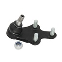 Rotula Inferior Partner 20-24
