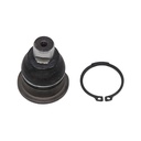 Rotula Inferior Kangoo 18-23