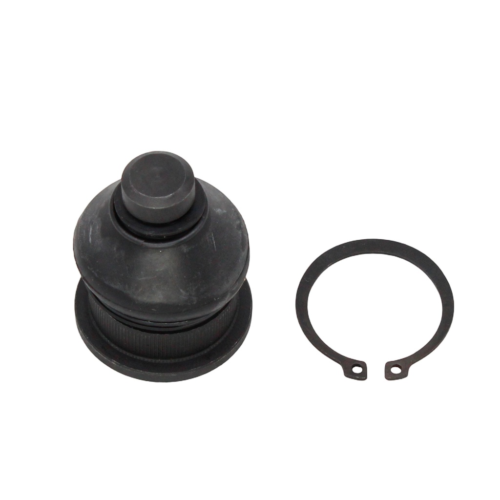 Rotula Inferior Twizy 17-21