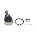 Rotula Inferior S Cross 15-23