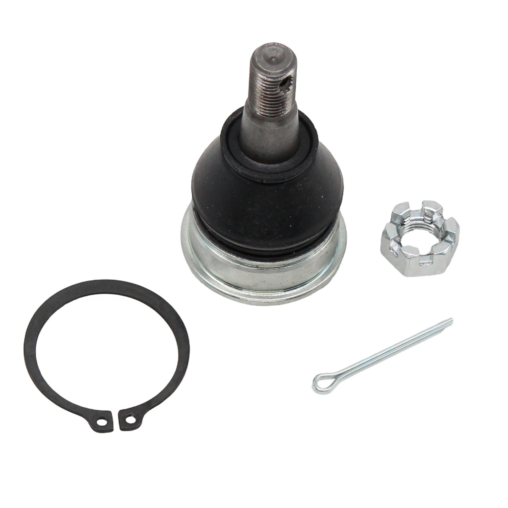 Rotula Inferior Ciaz 15-23