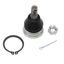 Rotula Inferior Ciaz 15-23