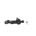Rotula Inferior Derecho Prerunner 95-04