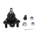 Rotula Inferior Rav 4 06-18