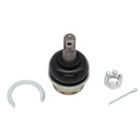 Rotula Inferior Frison T6 24-25