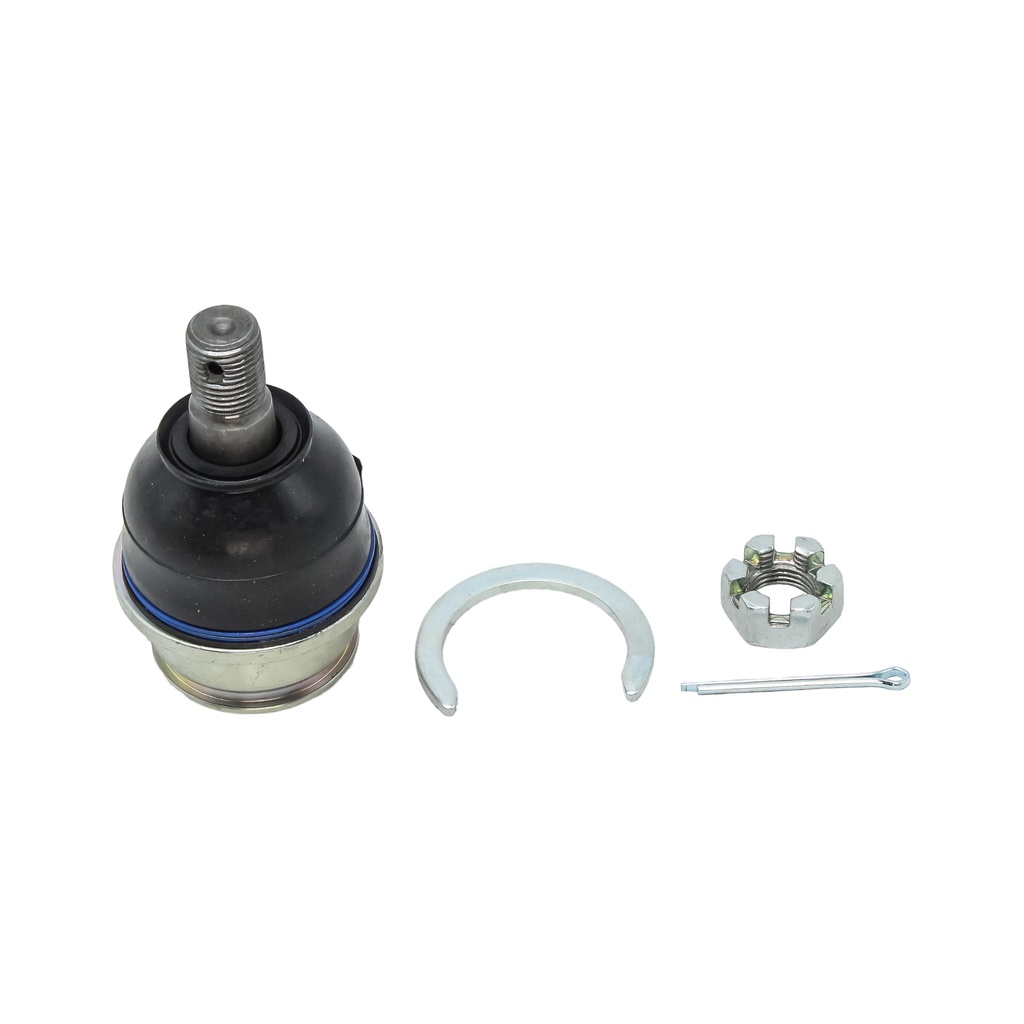 Rotula Inferior 4-Runner 03-19