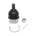Rotula Inferior Land Cruiser 08-20