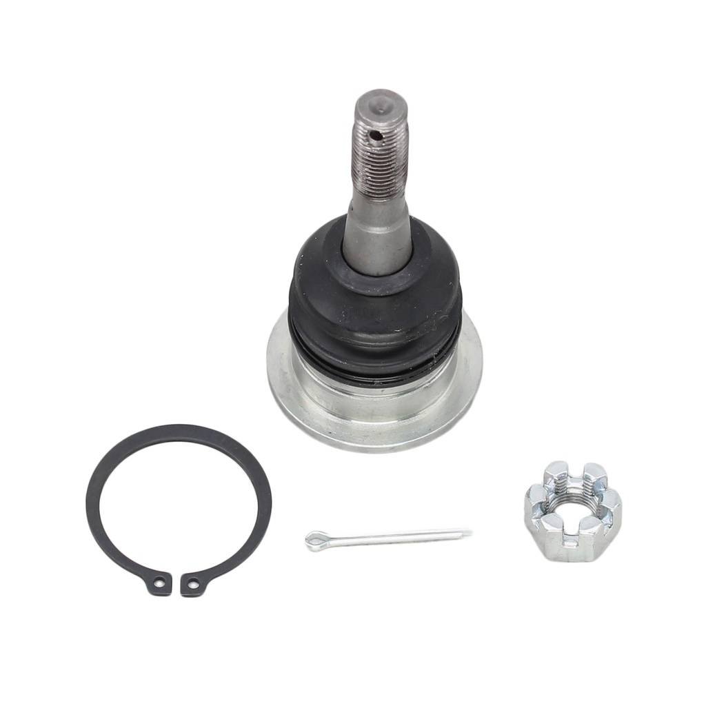 Rotula Superior Tacoma 24-24
